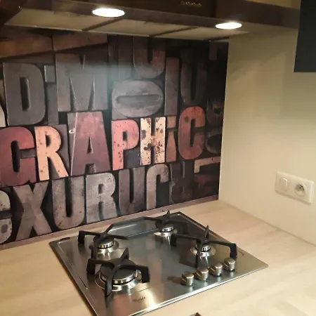 Joli 2 Pieces Esprit Loft Moderne Apartment Pau